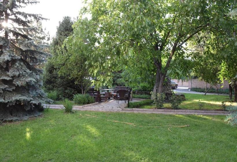 هتل Silk Road Lodge