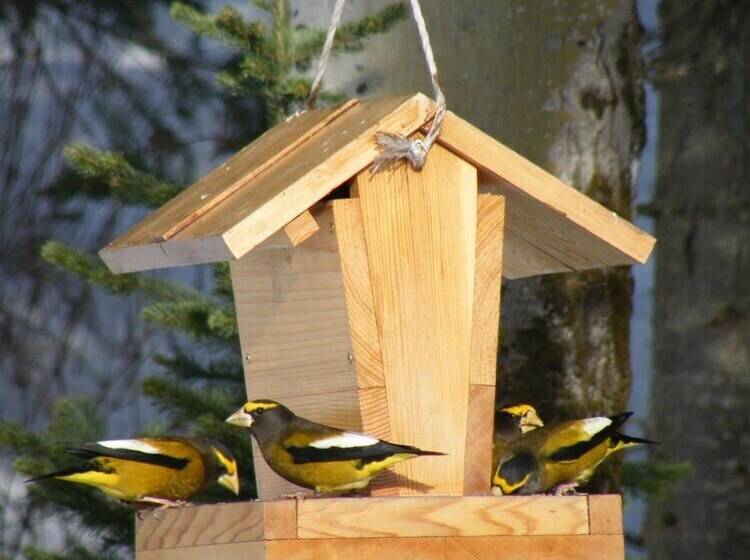 فندق Silvern Lake Trail Bed And Breakfast