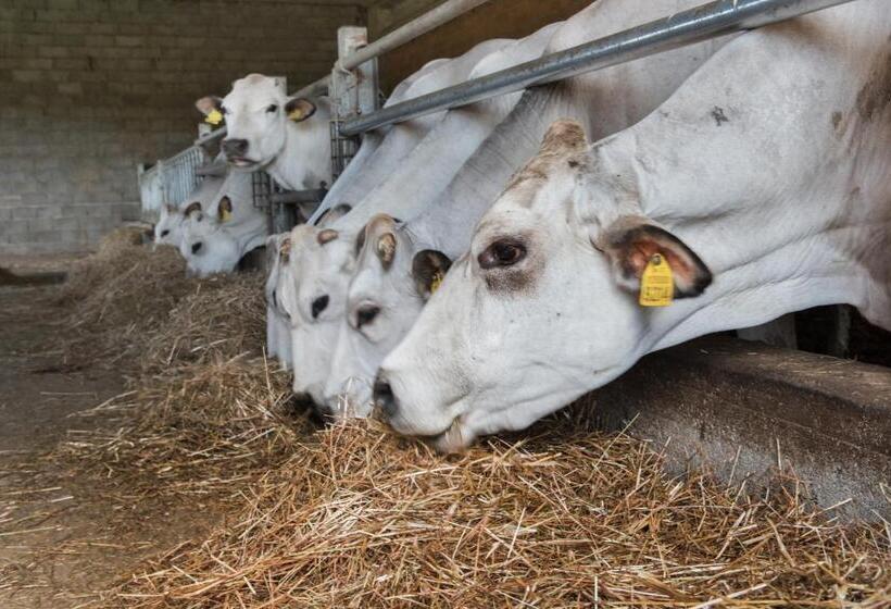 فندق Tenuta De L Annunziata  Natural Relais