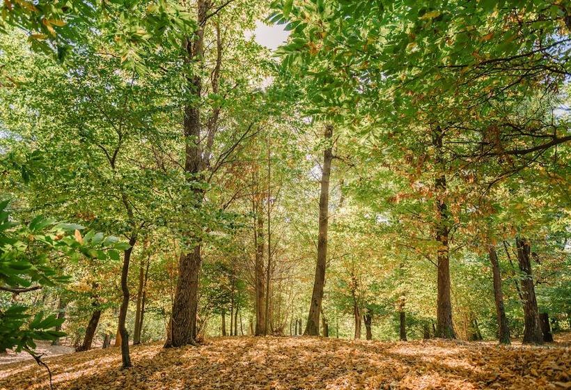 فندق Tenuta De L Annunziata  Natural Relais