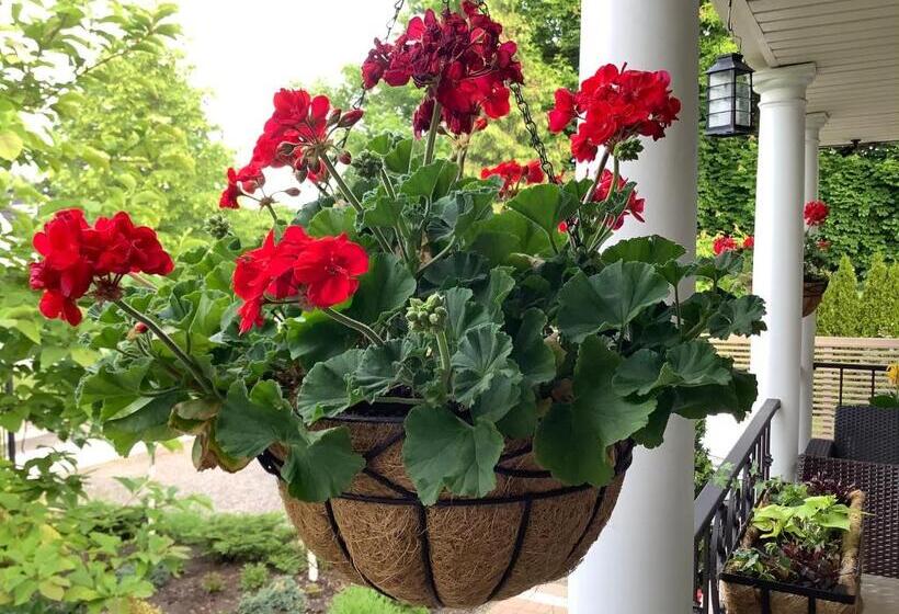 ホテル Via Veneto Old Town