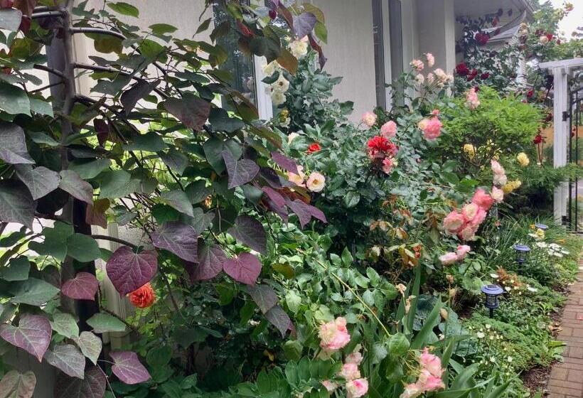 ホテル Via Veneto Old Town