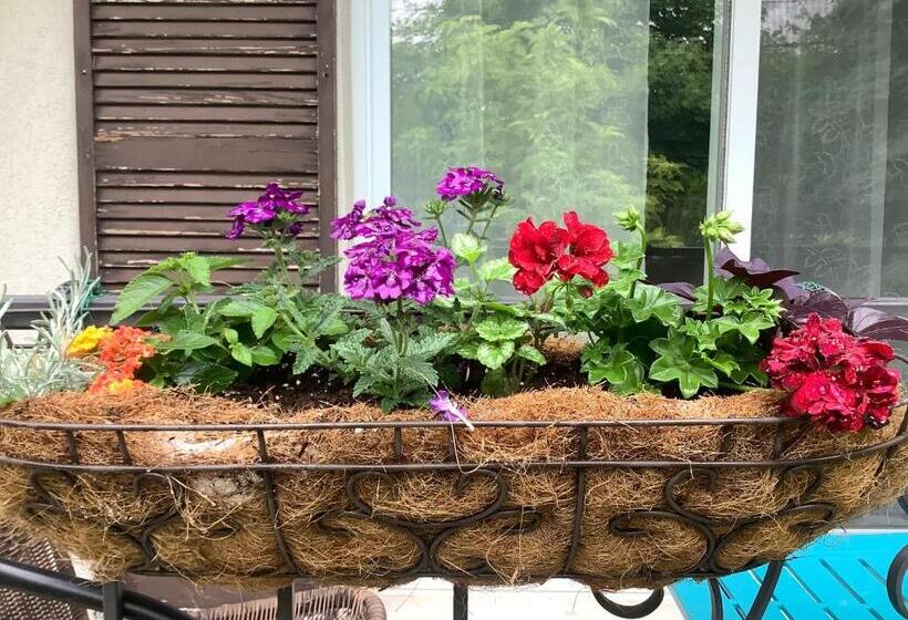 ホテル Via Veneto Old Town