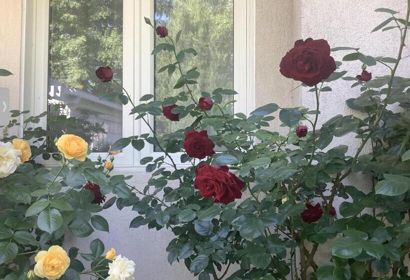 ホテル Via Veneto Old Town