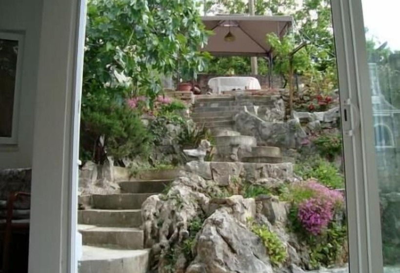 Отель Villa Angel