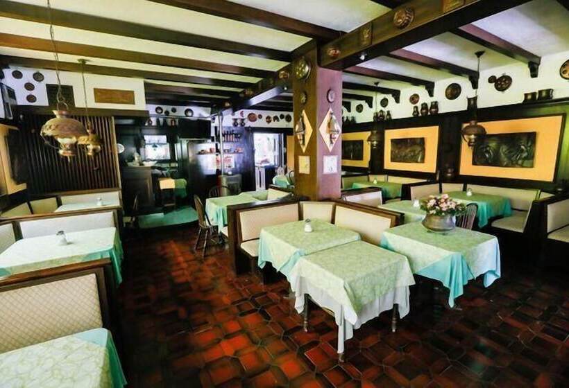 호텔 Villa Mafalda