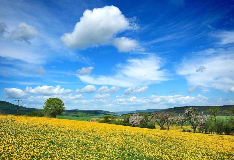 Familienhotel Rhön Feeling