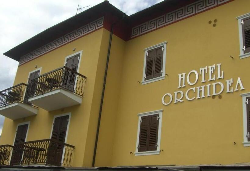 فندق Albergo Garni Orchidea
