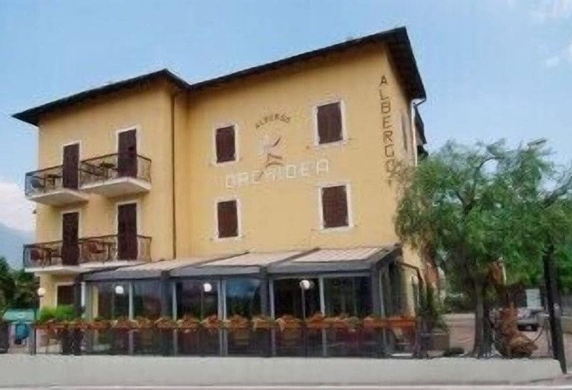 فندق Albergo Garni Orchidea