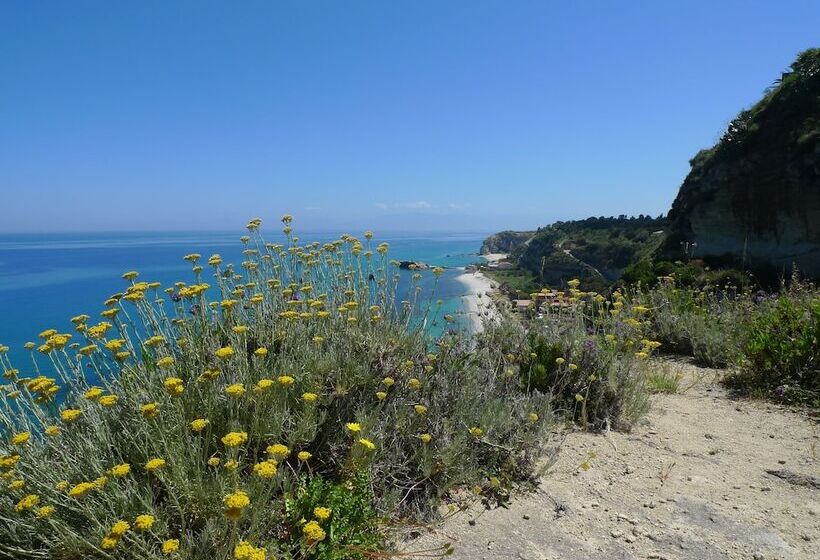 Отель Alexander