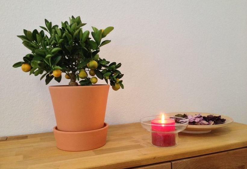 ホテル Apartmenthaus Haus Feuerbach