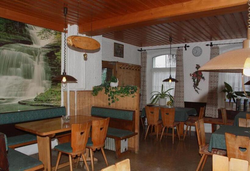 호텔 Bayerischer Hof