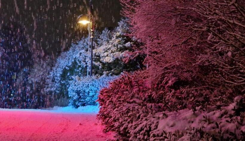 호텔 Bigger Hof   Wirtshaus Platzhirsch Am Jahnplatz