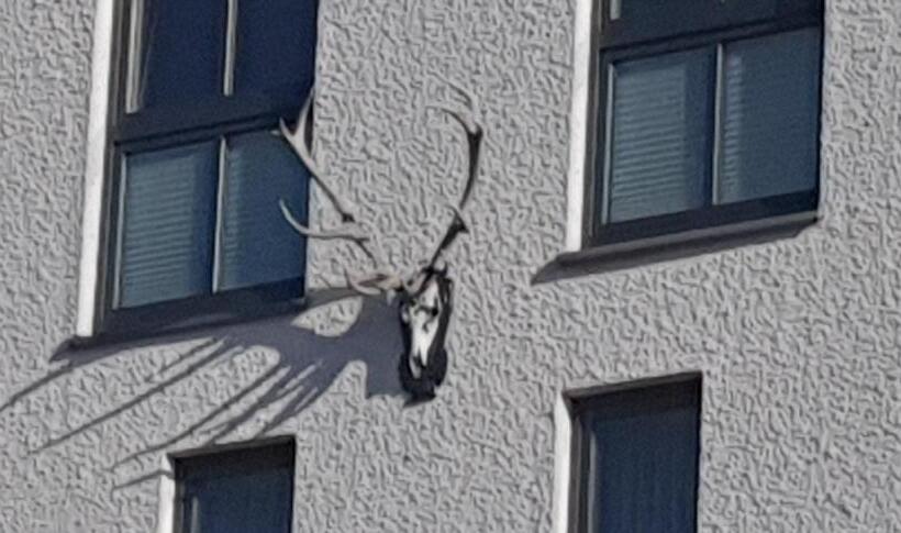 호텔 Bigger Hof   Wirtshaus Platzhirsch Am Jahnplatz