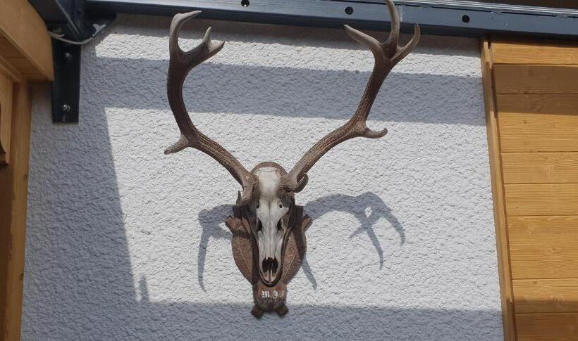 호텔 Bigger Hof   Wirtshaus Platzhirsch Am Jahnplatz