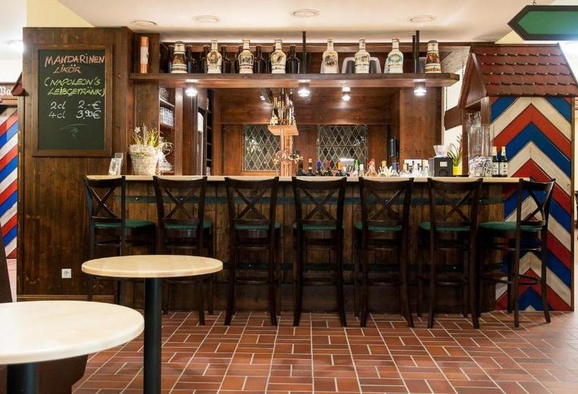 酒店 Brauereigasthof Napoleon