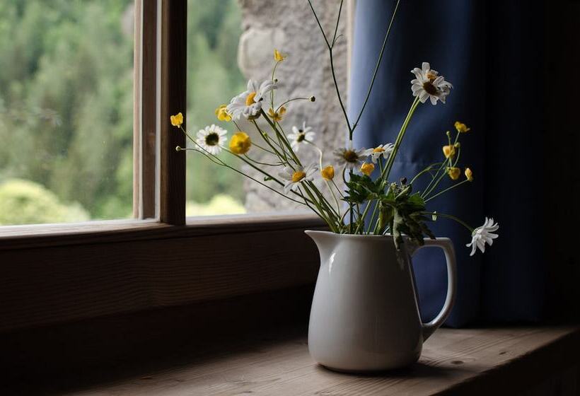 בית מלון כפרי Chalet Val Di Rabbi