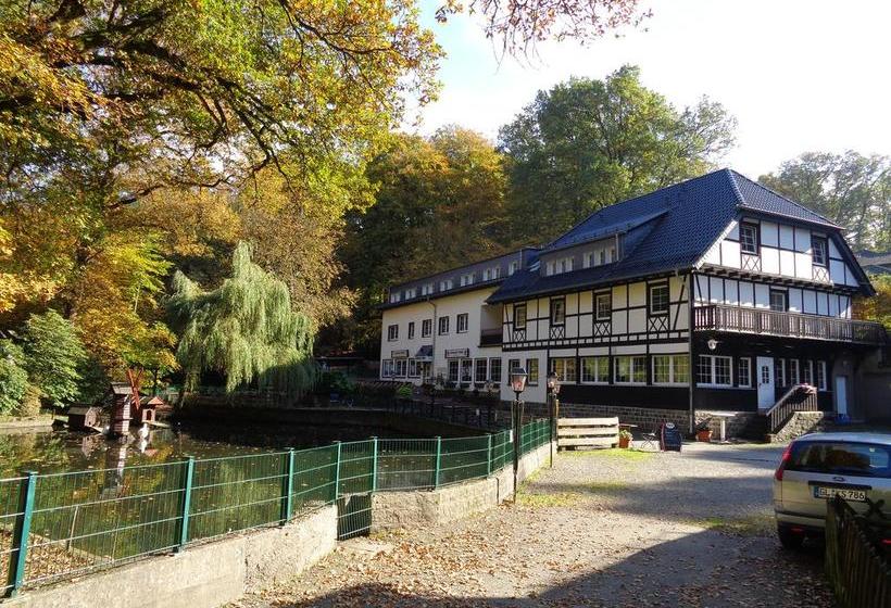 בית מלון כפרי Forsbacher Muhle