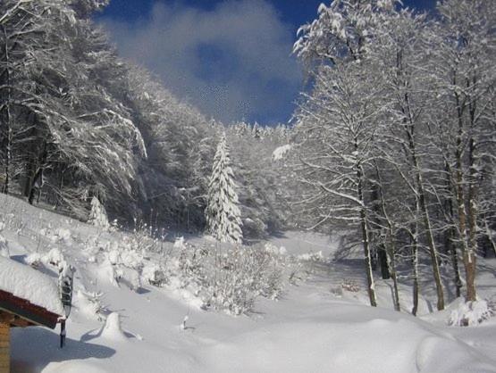 فندق & Gasthaus Sterngrund