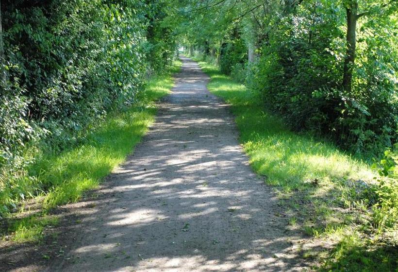 호텔 Gasthof Brinkmeier