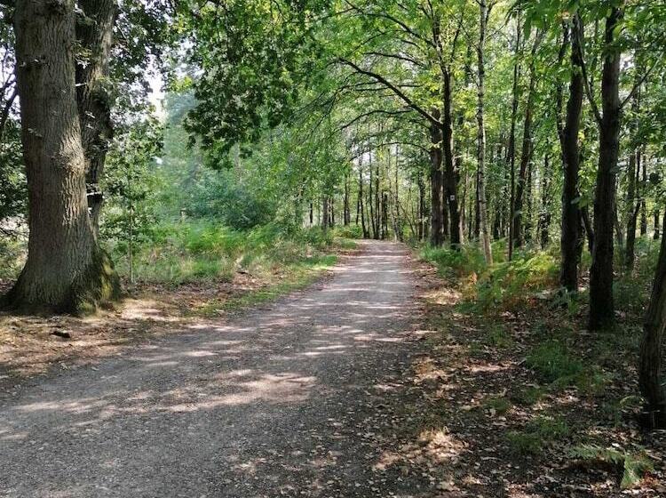 فندق Haus Hildegard   Garni 3 Sterne Superior