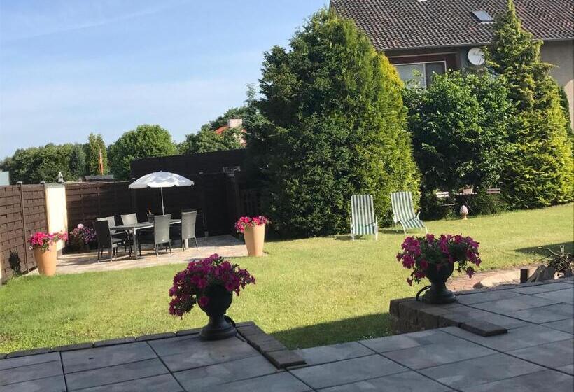 호텔 Hegemann Garni