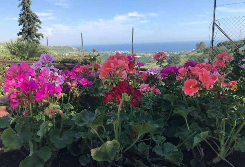 ホテル I Cardinali