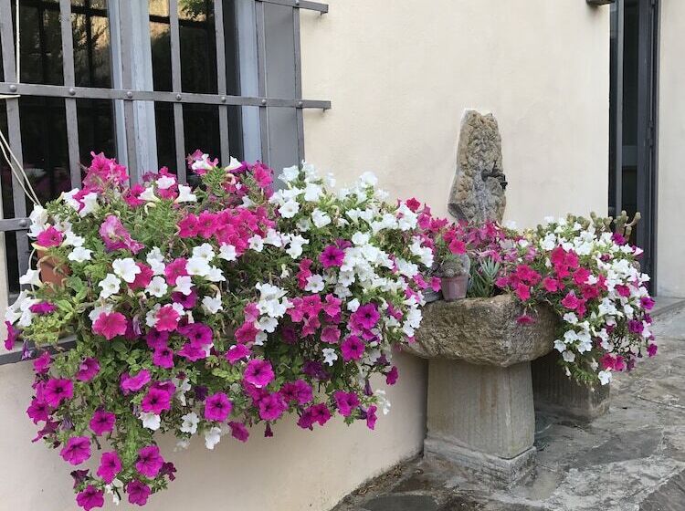 Отель Il Pezzatino