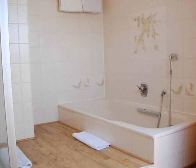 호텔 Landgut Jungfleisch