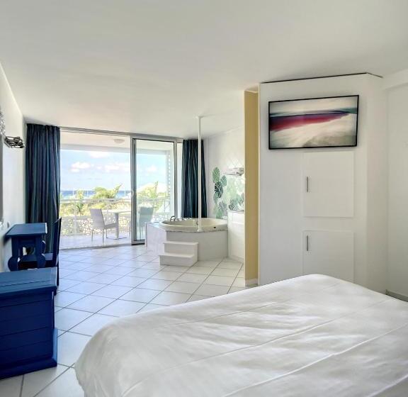 ホテル Le Domaine Anse Marcel Beach Resort