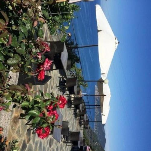 Отель Albergo Luna Di Marzo