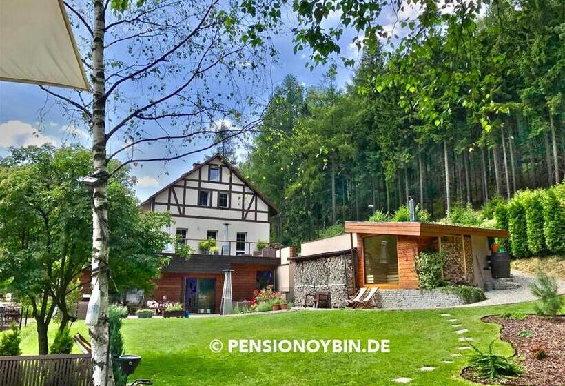 Отель Pension Oybin