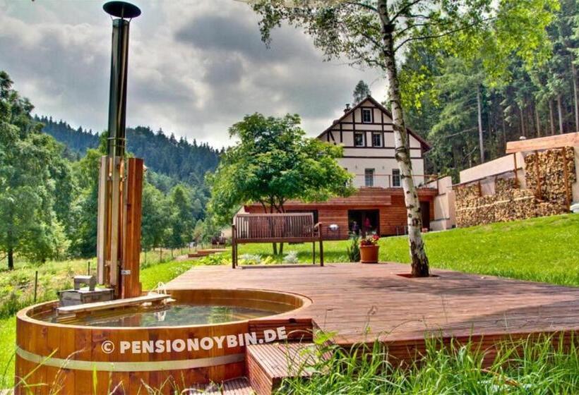 Отель Pension Oybin