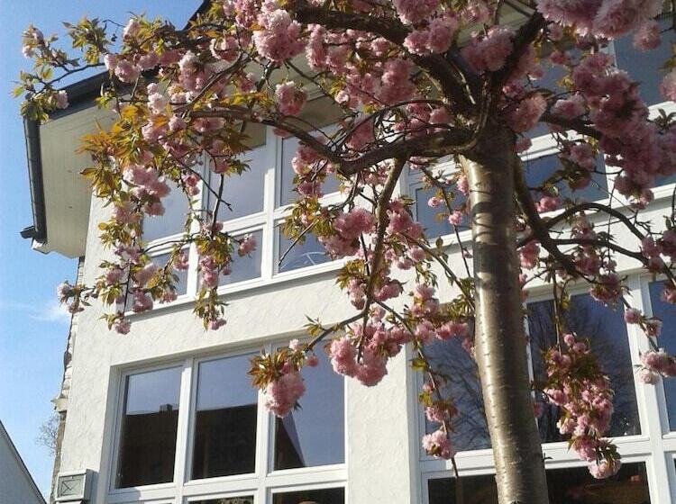 فندق Pension Und Ferienwohnungen Schweinsberg