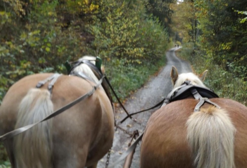 فندق Pension Und Ferienwohnungen Schweinsberg