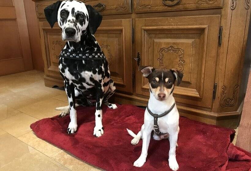 호텔 Gut Weihersmühle