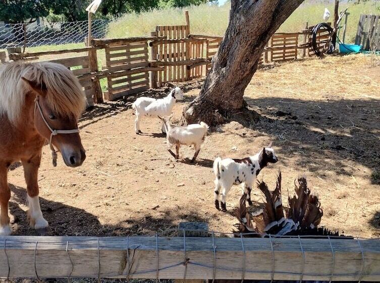 فندق Agriturismo Heaven