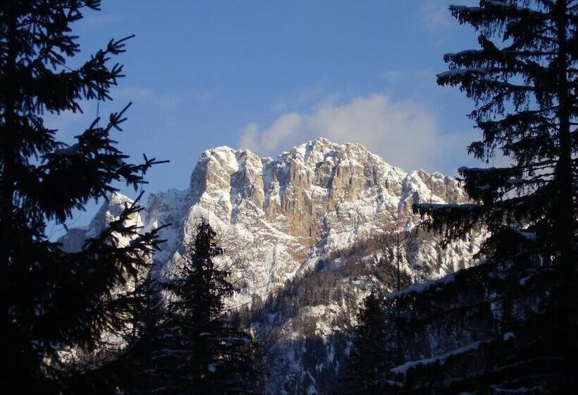 酒店 Residence Regina Delle Dolomiti