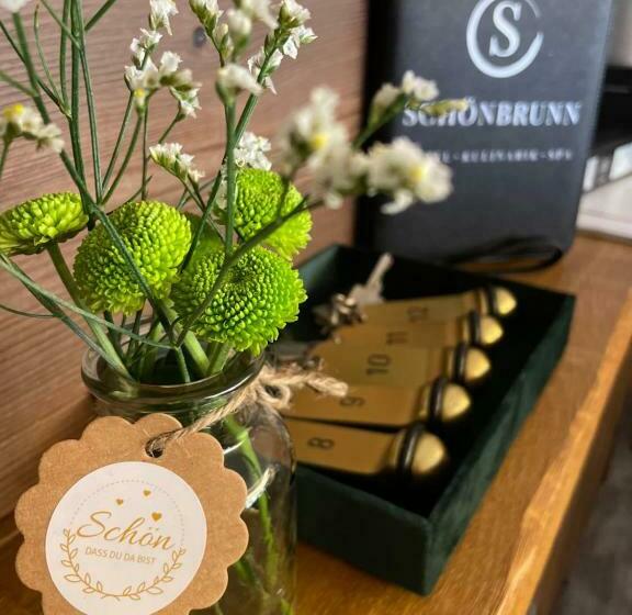 בית מלון כפרי Schönbrunn