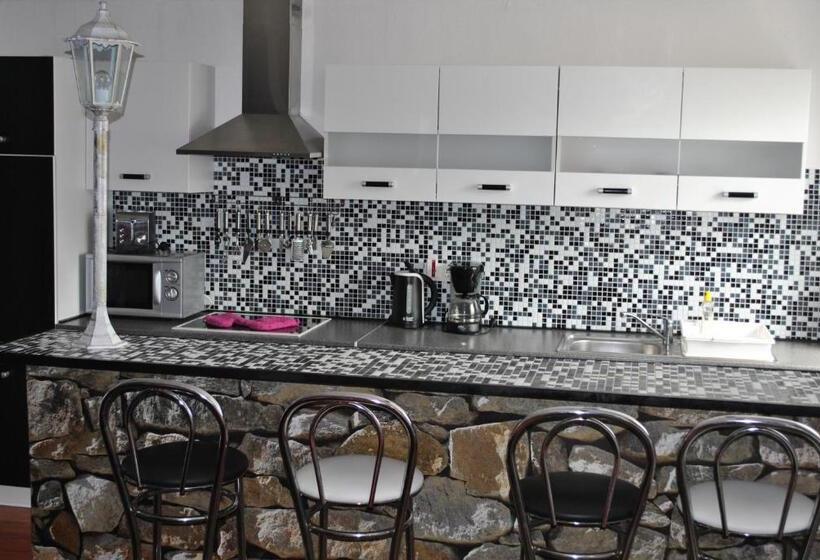 酒店 Suite Apartement Essen