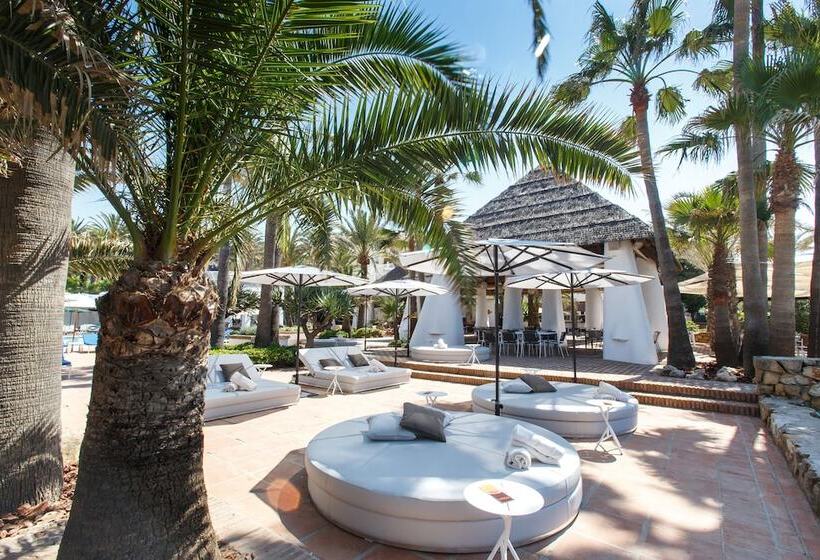 فندق The Oasis By Don Carlos Resort