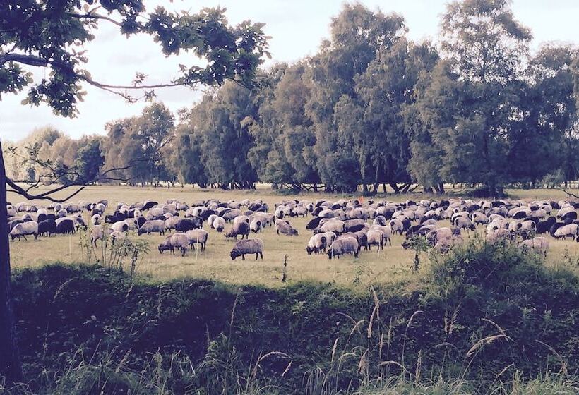 호텔 Wilsmann Apartmentvermietung