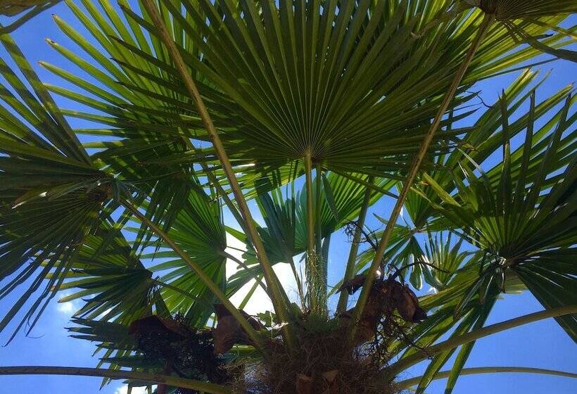 호텔 Wilsmann Apartmentvermietung