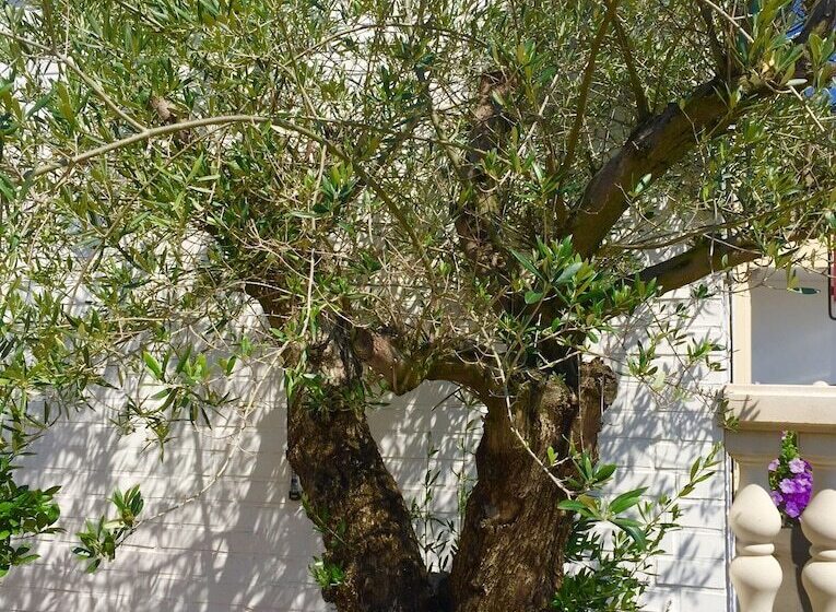 호텔 Wilsmann Apartmentvermietung