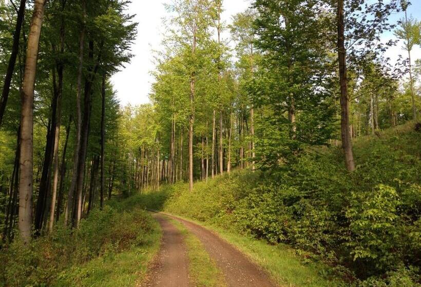 Отель Zum Kanzler