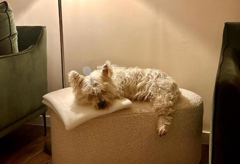 Landhotel Alte Schule   Hotel Garni