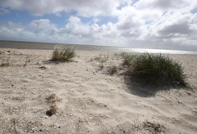 Landhotel Alte Schule   Hotel Garni