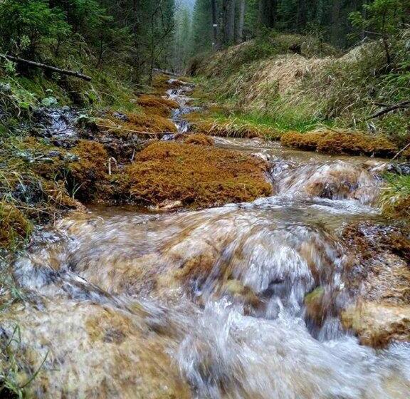 Wellness Hotel Bladen