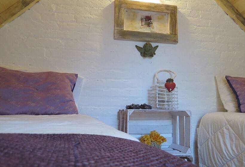 فندق فئة نجمة واحدة Cielito Mexicano