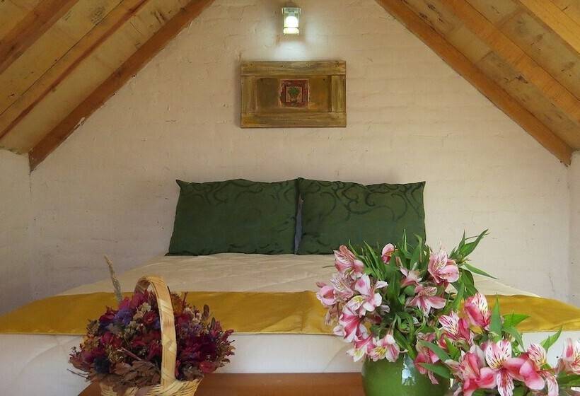 فندق فئة نجمة واحدة Cielito Mexicano